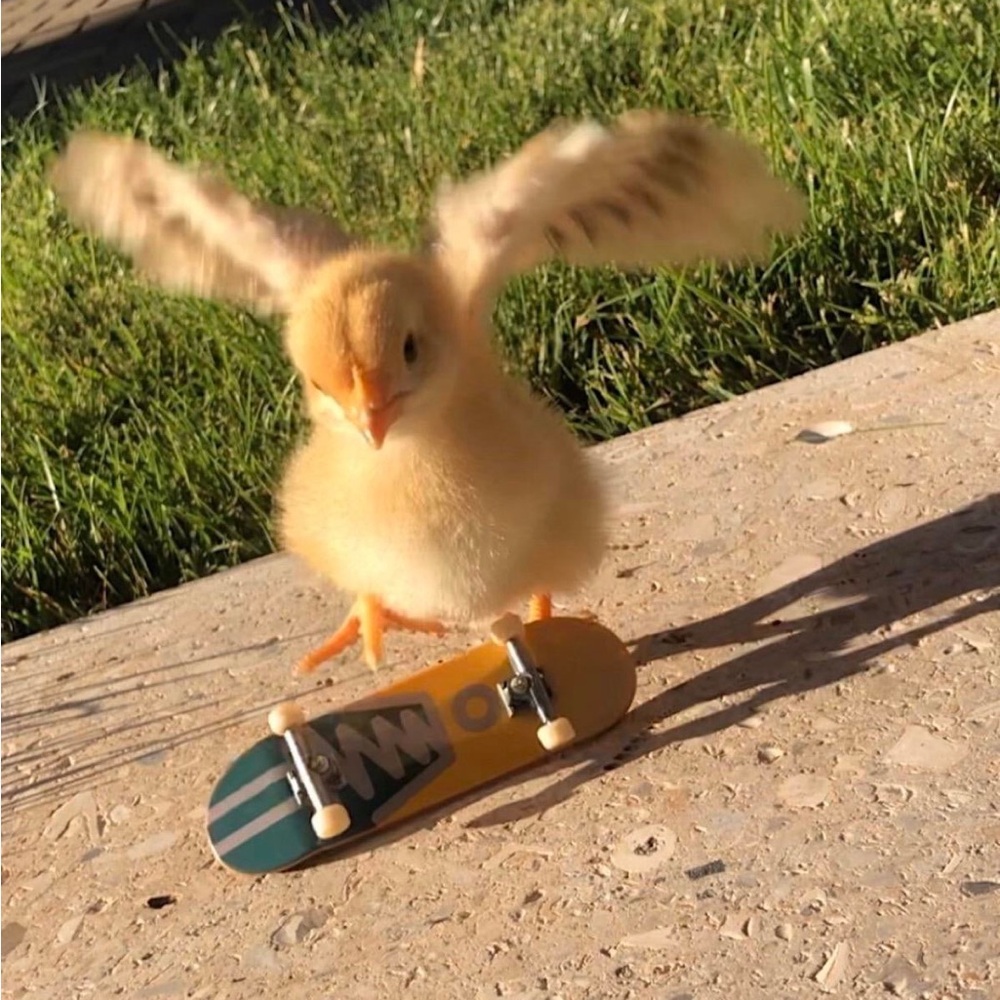 Meet your Posher, Andrew